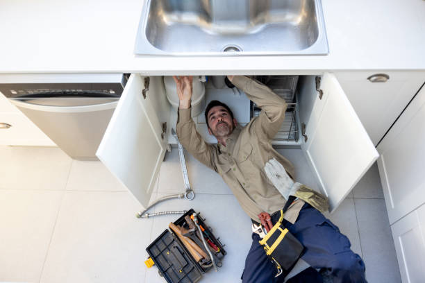 Best Affordable Plumbing Services  in Johnsburg, IL