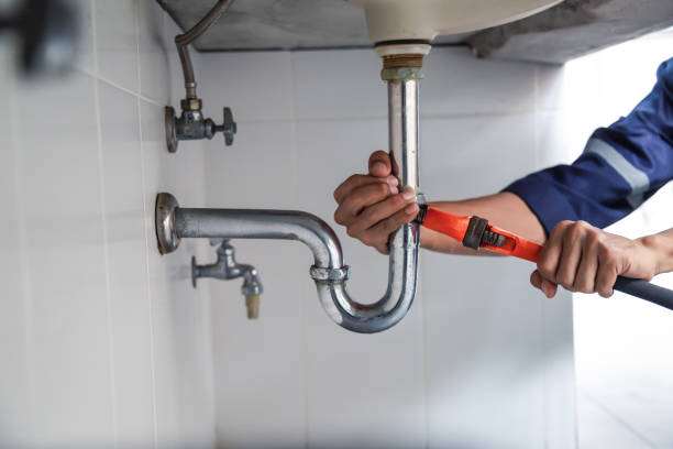 Best Leak Detection Services  in Johnsburg, IL